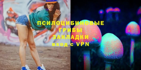 меф Дмитров