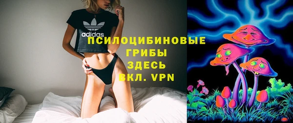 марки nbome Дмитриев